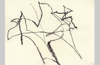Hollan ,fusain sur papier1, 2012, 32 x 24 cm