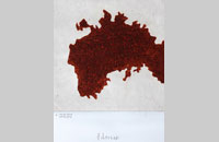Halicarnasse - gravure, 45.5 x 38 cm, tirage à 30 exemplaires , 2012