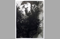 MOSES I, encre de chine sur papier, 57 x 76,5 cm, 2015