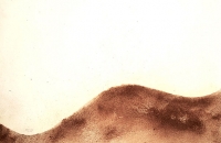 Lanzarotte 1, ligne de crête, 55 x 46 cm