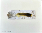 Composition du loriot, collage, 2017, 16 x 19,8cm