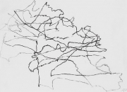 Chêne, 2015, fusain sur papier, 40x50cm