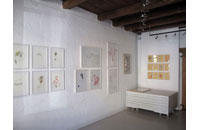 Exposition Julie Brand - Accrochage à la galerie LIGNE13
